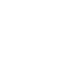 LinkedIn Icon